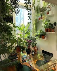 Tidak hanya itu, desain yang kamu terapkan di beberapa sudut ruangan nantinya juga bisa menambah nilai estetika hunianmu. Inspirasi Taman Di Dalam Rumah Yang Luasnya Kurang Dari 100 Meter Persegi Penyegaran Nih