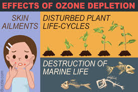 Causes and Effects of Ozone Layer Depletion That are Painfully True - Help  Save Nature