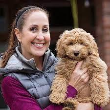 Maybe you would like to learn more about one of these? Australian Labradoodles Of Texas Home Facebook