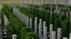 What is Tower Farming? - Jardin Vertical