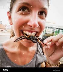 Fried tarantula hi-res stock photography and images