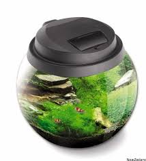 Wszystko widać, a jednak zamknięte.