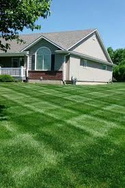 8.3 × 5.5 in • 300 dpi • jpeg. Lawn Services With Kohler Lawn Outdoor Keeps Your Lawn Manicured