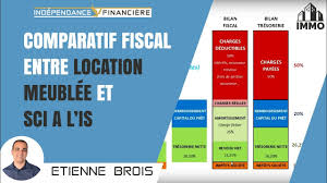 La sci pour les nuls. Sci A L Ir Ou A L Is Immobilier Versus Wild