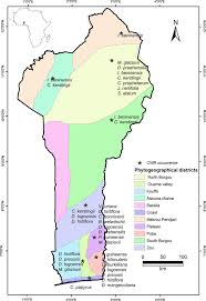 Image result for Vernonia gerberiformis