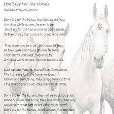 For Our Horse Friends That Past Away Horse Riding Quotes Horse Quotes Horse Poems
