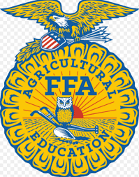 Write witty answers to random questions and get the most votes from other players! Ffa Quiz Bowl Trivia Questions Quiz Quizizz