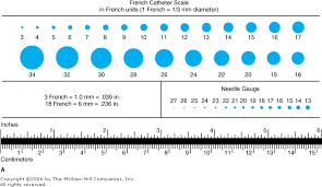 21 New Suture Size Chart