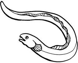 Get free collection of eel coloring images here. Anago Eel Coloring Page Color Luna Coloring Pages Dragon Artwork Coloring Pictures