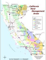 Maybe you would like to learn more about one of these? California Herd Management Areas Bureau Of Land Management