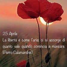 Pin Di Gioconda Uanetti Su Frasi Citazioni Citazioni Ironiche Citazioni Filosofiche