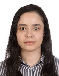 Shaimaa Hussein's Instagram, Twitter & Facebook