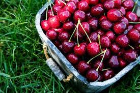 Conservare la marmellata di albicocche. Come Conservare Le Ciliegie Ricette Della Nonna