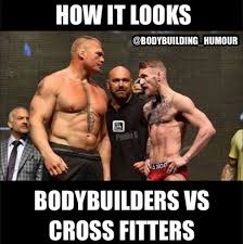 No No No No That S Conor Mcgregor Not A Frickin Criss Fitter Gym Jokes Workout Memes Bodybuilding Humor