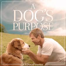 Bruce cameron, cathryn michon, maya forbes. Be Here Now That S A Dog S Purpose