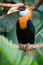 Weitere ideen zu exotische tiere, tiere, tierbilder. Exotische Tiere Photos Facebook