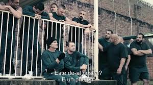 Filme online, seriale, indiene, erotice. DeÅ£inutul 2014 Filme Online Filme Online 2021 Gratis Subtitrate In Limba RomanÄƒ
