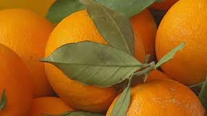 نتیجه جستجوی لغت [oranges] در گوگل