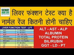 liver function test results normal range alt blood test