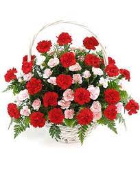 Thanksgivings Flowers Basket 33 Red Carnations And 15 Pink Carnations Thanksgiving Flowers Beautiful Flowers Red Carnation