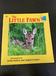 Image result for Golden Fawn 1974 Imperial