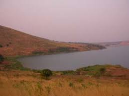 Image result for Multidentia sp. A