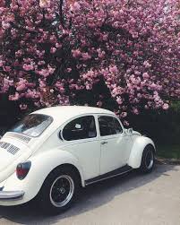 I Love Spring And 6 Spring Activities Alex Turcotte Otis Activities Alex Love Spring Turcotteotis A Classic Cars Vintage Retro Cars Classic Cars