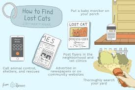 Here is our checklist of things to do should your pet go missing. 10 Ways To Find Your Lost Cat