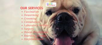 How exciting to be a st. Pets In The City Veterinary Clinic And Grooming Services Ø§Ù„ØµÙØ­Ø© Ø§Ù„Ø±Ø¦ÙŠØ³ÙŠØ© ÙÙŠØ³Ø¨ÙˆÙƒ