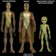 Image result for dulce base images