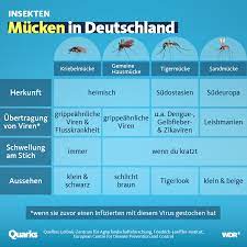 Weltweit gibt es mehr als 3600 stechmückenarten. Das Solltest Du Uber Mucken Wissen Quarks De