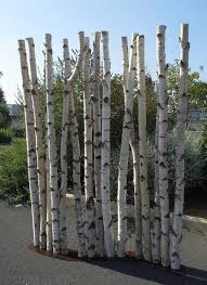 Paravent En S Avec Des Troncs De Bouleaux De 2m De Hauteur Et 5 7cm De Diametre Decoration Avec Bouleau Bouleau Meubles En Bois Flotte