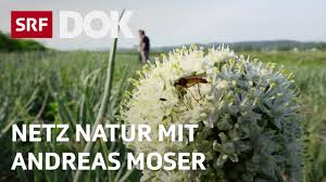 Biber haben freunde netz natur 21.11.2013 dvd. Landwirtschaft Ohne Pestizide Netz Natur Mit Andreas Moser Doku Srf Dok Youtube