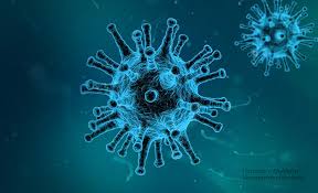 Koronavirukset ovat joukko viruksia, joita on todettu sekä ihmisillä että eläimillä. Koronavirus In Male Zivali