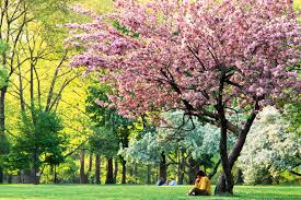 Spring, also known as springtime, is one of the four temperate seasons, succeeding winter and preceding summer. Interesting Facts About Spring Dk Find Out