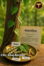 Image result for Melasma calycinum