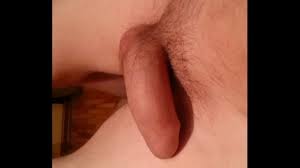 penis erection - XNXX.COM