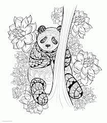 Panda bear coloring pages adults. Detailed Panda Coloring Pages Coloring And Drawing