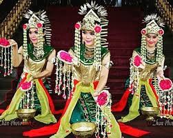 Tarian ini merupakan jenis tari tradisional berpasangan yang dimasa lalunya lebih menonjolkan erotisme dari para penarinya, seperti halnya tari tayub dan tari ronggeng. Tari Tradisional Kalimantan Selatan Tari Baksa Kembang Media Edukatif
