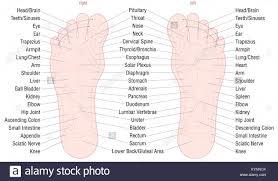 foot reflexology zone massage chart with areas and names of