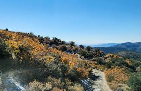 Wheeler Pass OHV Trail, Nevada