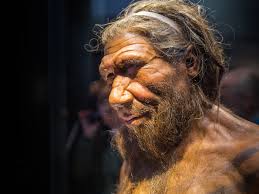 The Institute for Creation Research