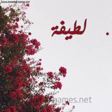 صور اسم لطيفه اسم لطيفه بالصور حصرى صباحيات