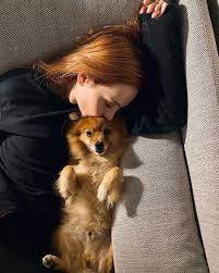 Basak Gumulcinelioglu Shared A Post On Instagram Huzur Kendinle Koltuk Arasina Kopegini Sikistirip Zorla Opmektir Ajanthedog Animals Dogs Corgi