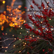 Twig Lights Twig Lights Lights Holiday Lights