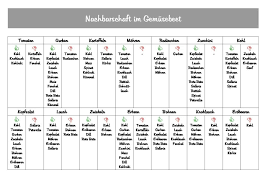 Der abstand sollte 20 cm betragen. Nachbarschaft Im Gemusebeet Gute Und Schlechte Nachbarn
