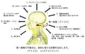 上部頚椎治療について｜表参道の整体・カイロプラクティック・アトラスオーゴソナル・自律神経失調症