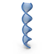 Please wait while your url is generating. Dna Png Images Psds For Download Pixelsquid S112642981