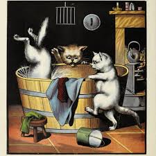 These cats require regular brushing and the occasional bath to help keep their coats healthy. Do Cats Need Baths Usually Not Here S Why The Way Of Cats