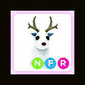 This species of deer is called a reindeer in europe, but a caribou in north america. Fly Ride Fr Parrot Roblox Adopt Me Ebay